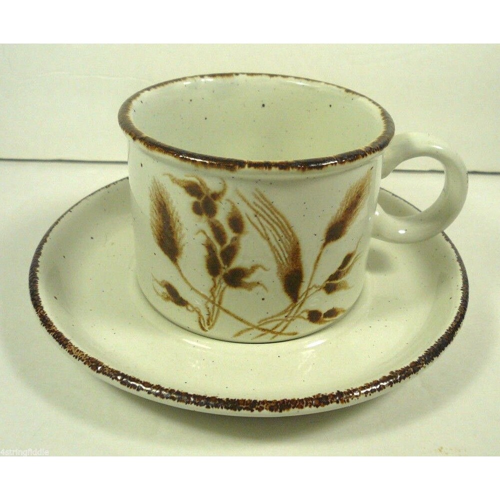 Vintage Midwinter Wild Oats Stonehenge Flat Cup & Saucer England